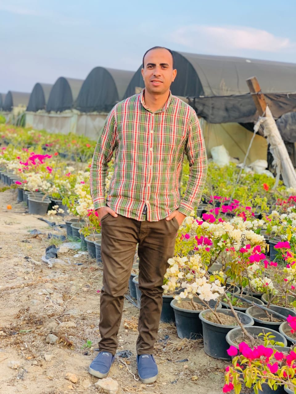 إبراهيم السيد